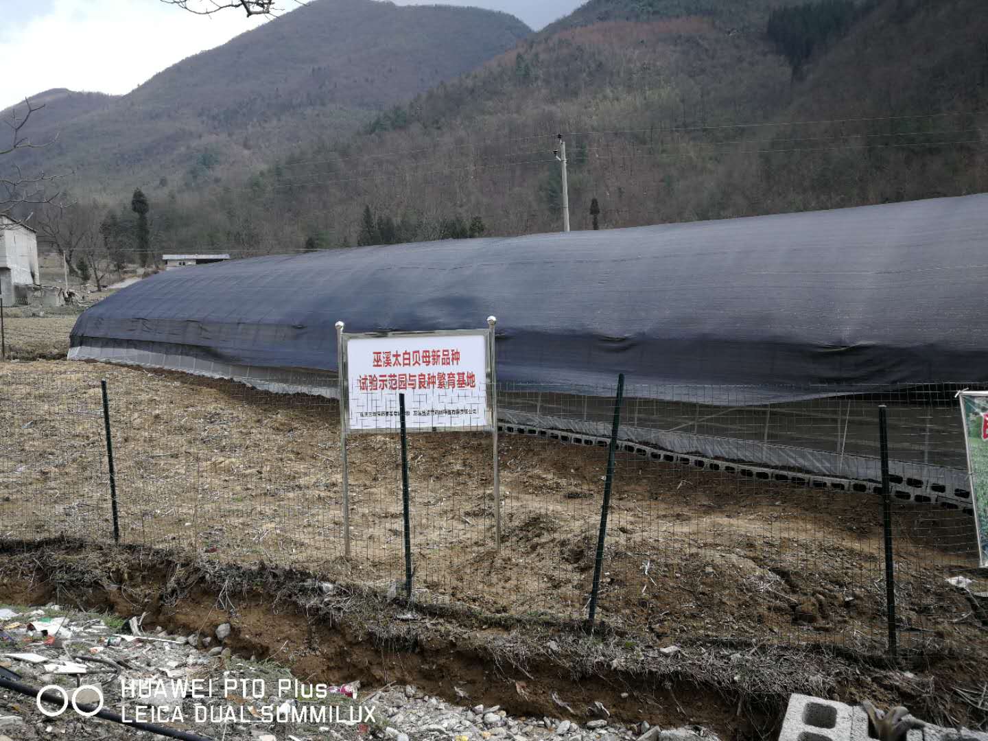 巫溪太白貝母試驗(yàn)示范園與良種繁育基地