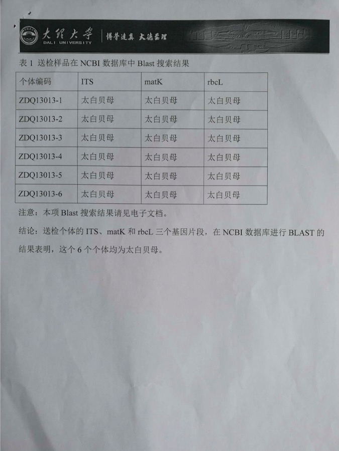 太白貝母物種鑒定報告7